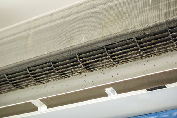 Best Ventilation Cleaning Services  in Mooreland, OK